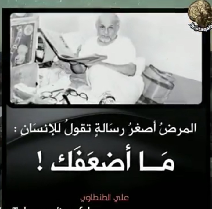 ������ p_1422zg2bn6.jpeg