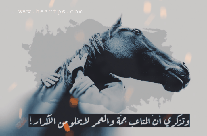 ���� ���� ������ �� ���� ������