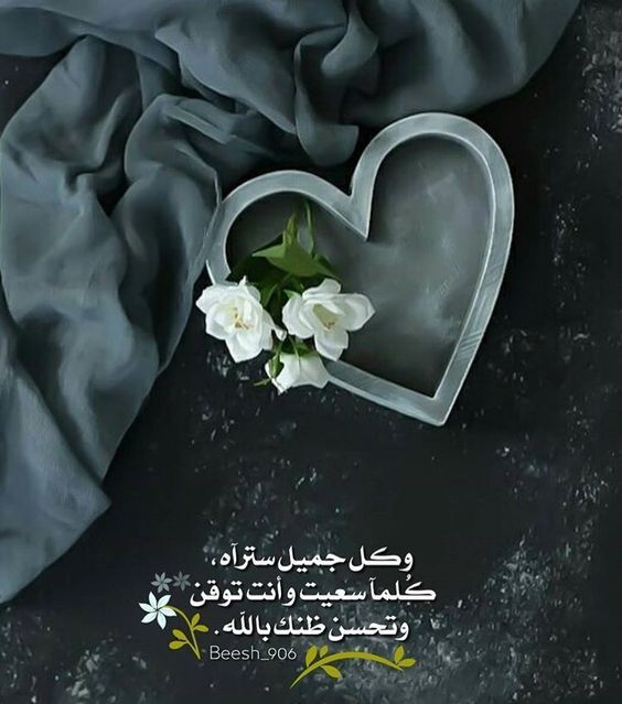 p_16657icdg1.jpg