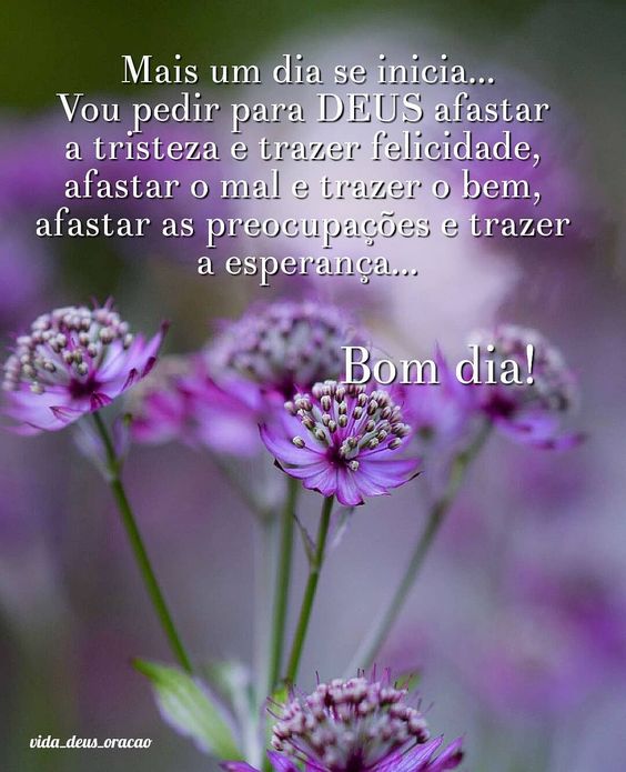 p_16890sf2o1.jpg