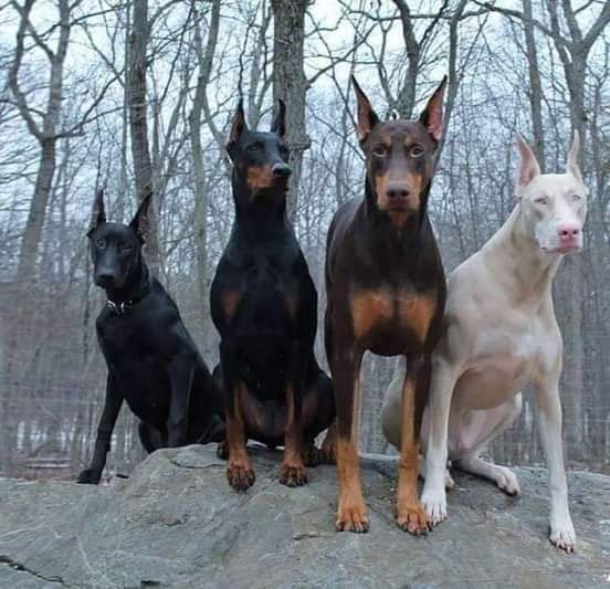 ���� ���� ������ �� ���� ������