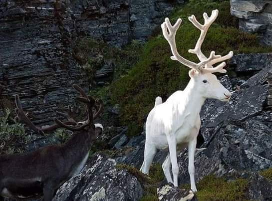 ���� ���� ������ �� ���� ������