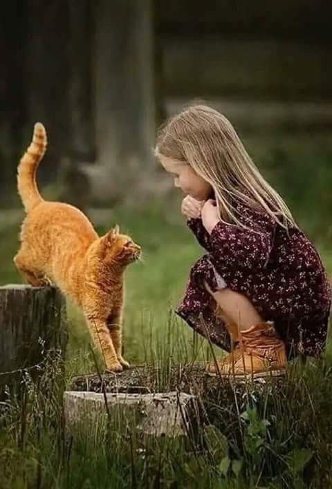 ���� ���� ������ �� ���� ������