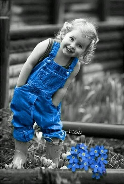 ���� ���� ������ �� ���� ������