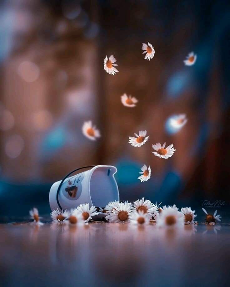 ���� ���� ������ �� ���� ������