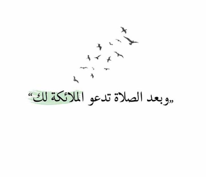 ���� ���� ������ �� ���� ������