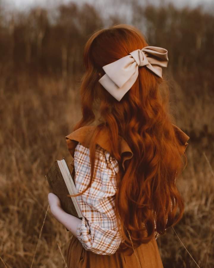 ���� ���� ������ �� ���� ������