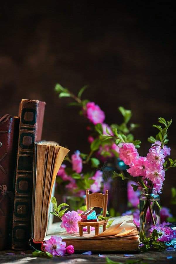 ���� ���� ������ �� ���� ������