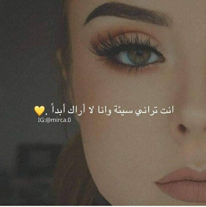 ���� ���� ������ �� ���� ������