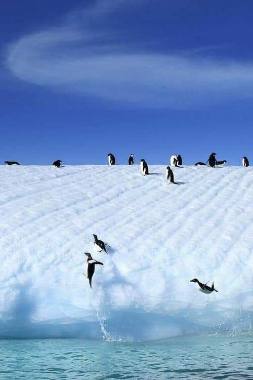 ���� ���� ������ �� ���� ������