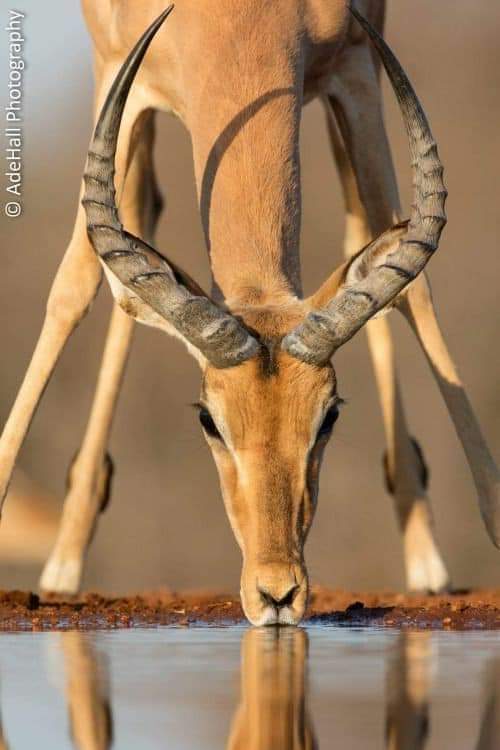 ���� ���� ������ �� ���� ������