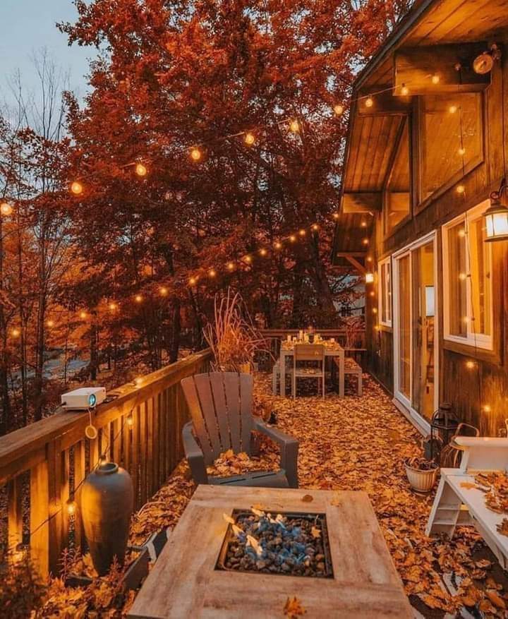 ���� ���� ������ �� ���� ������