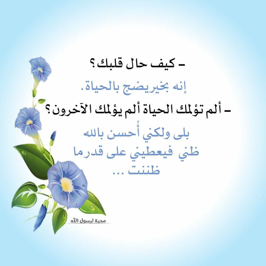 p_192214gmx0.jpg