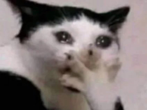 p_1975qxg4c1.jpeg