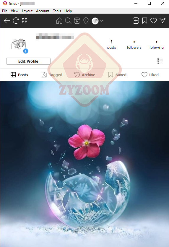 p_2066qxzqd1.png