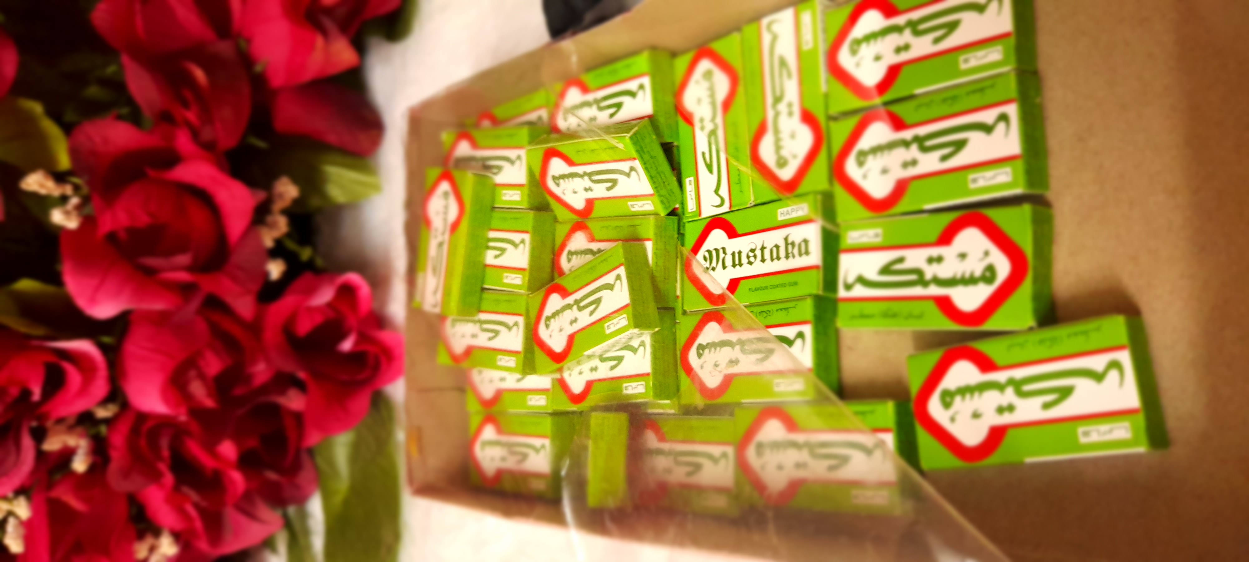 ���� ���� ������ �� ���� ������