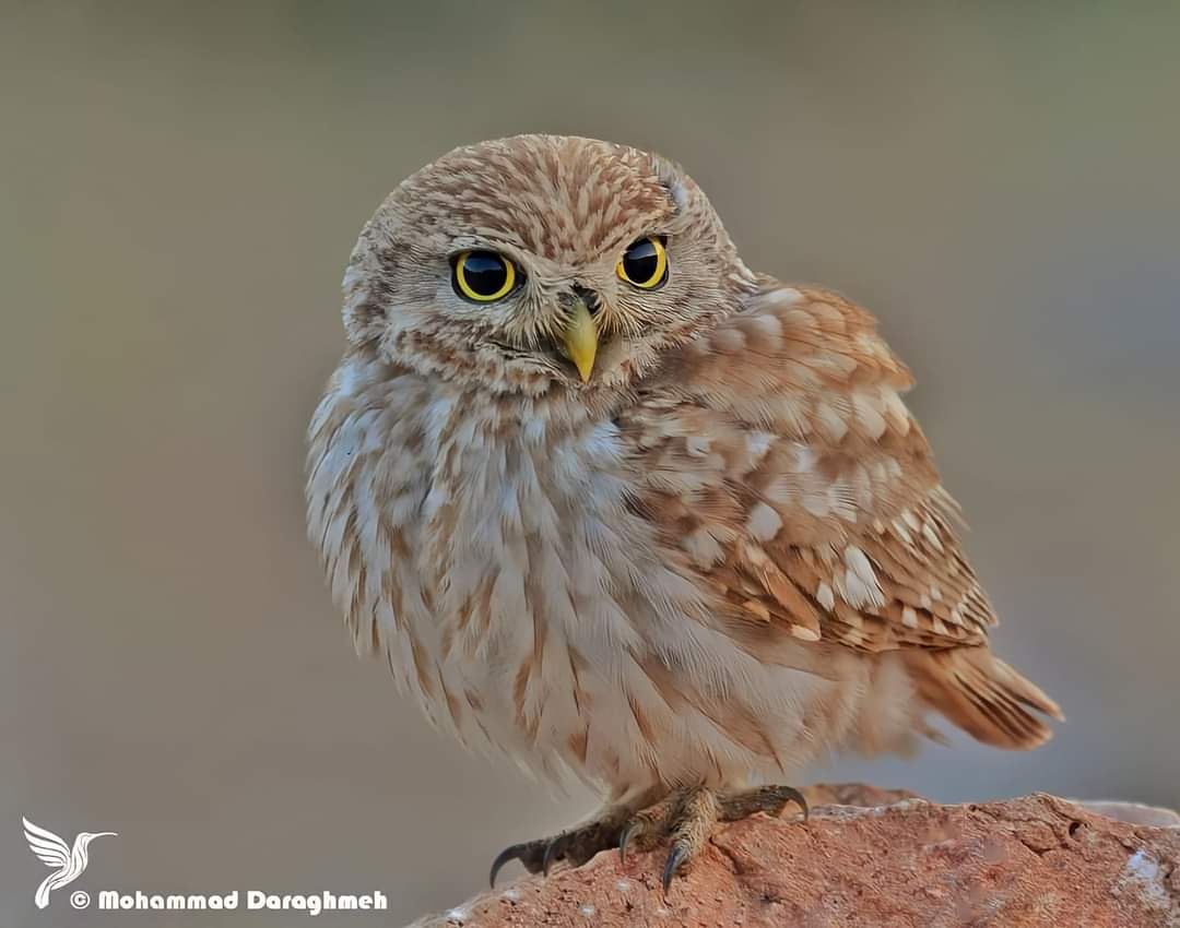 ���� ���� ������ �� ���� ������