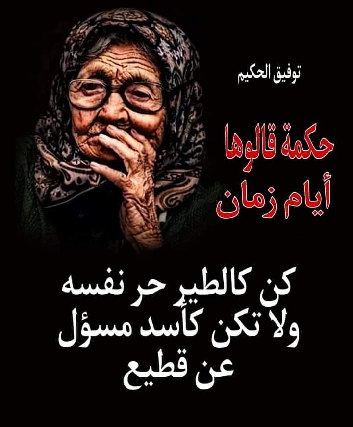 ���� ���� ������ �� ���� ������