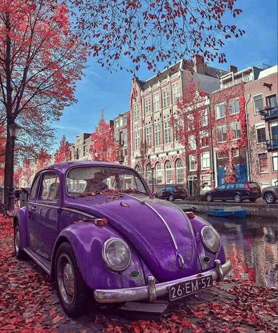 ���� ���� ������ �� ���� ������