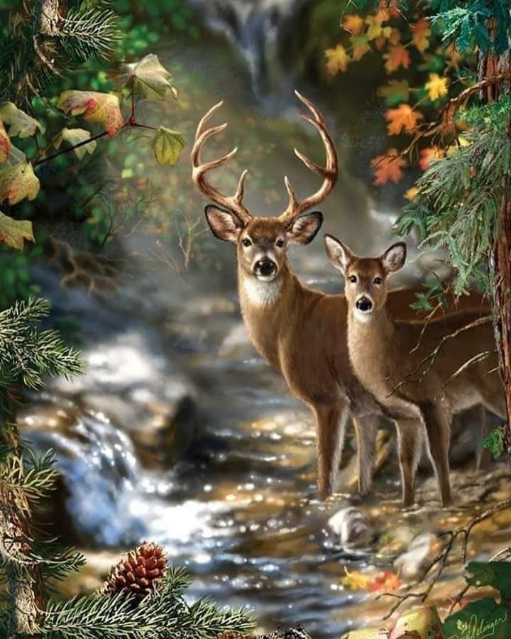 ���� ���� ������ �� ���� ������