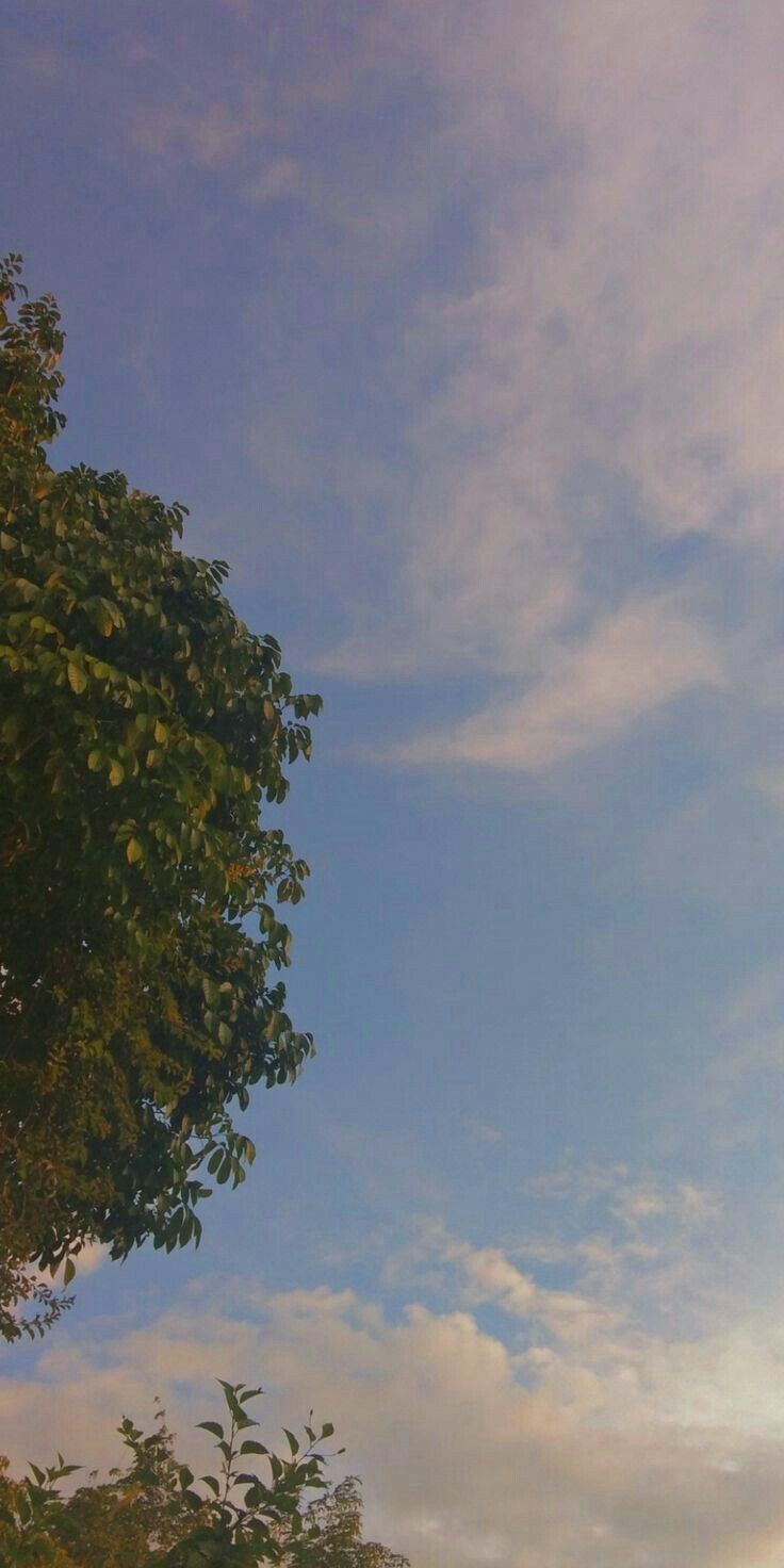 نقره لعرض الصورة في صفحة مستقلة