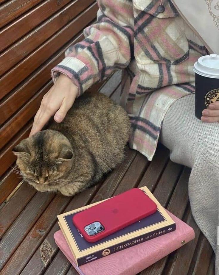 ���� ���� ������ �� ���� ������