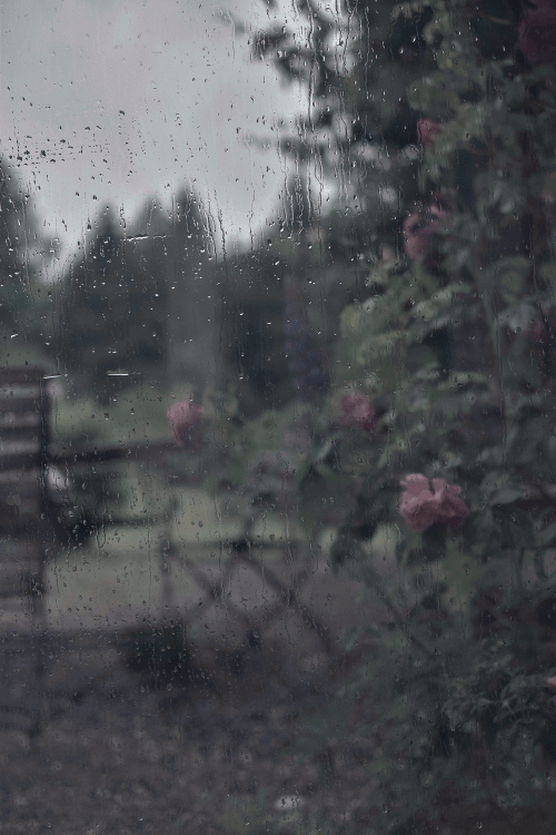 ���� ���� ������ �� ���� ������