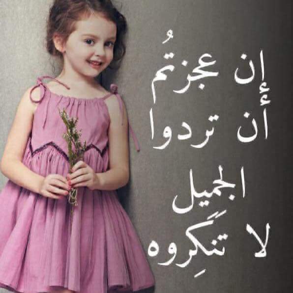 ���� ���� ������ �� ���� ������