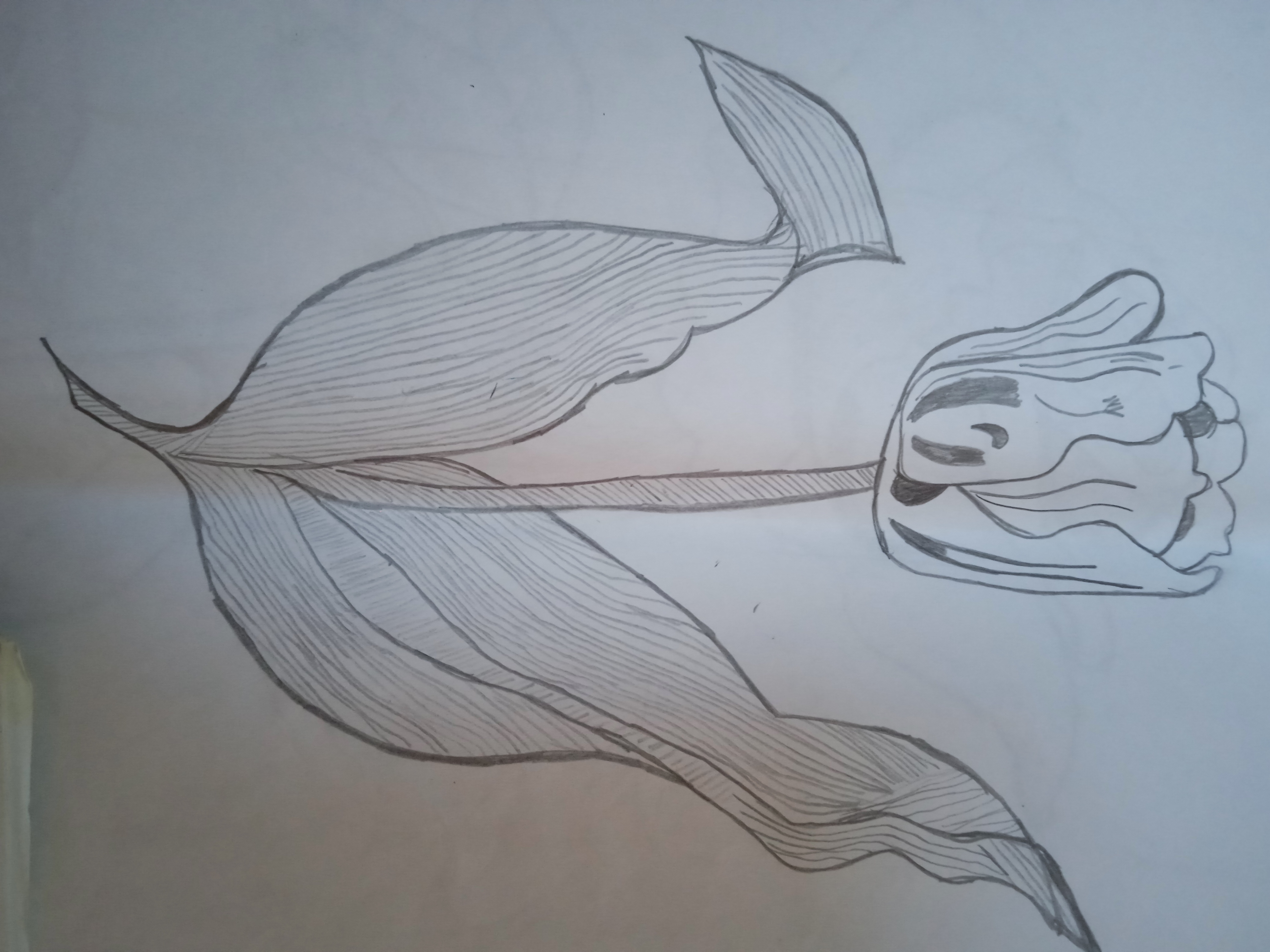 ���� ���� ������ �� ���� ������