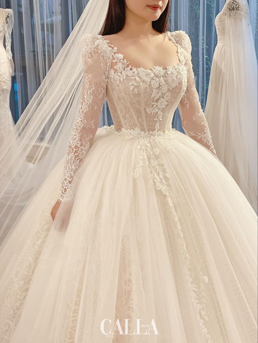 ���� ���� ������ �� ���� ������