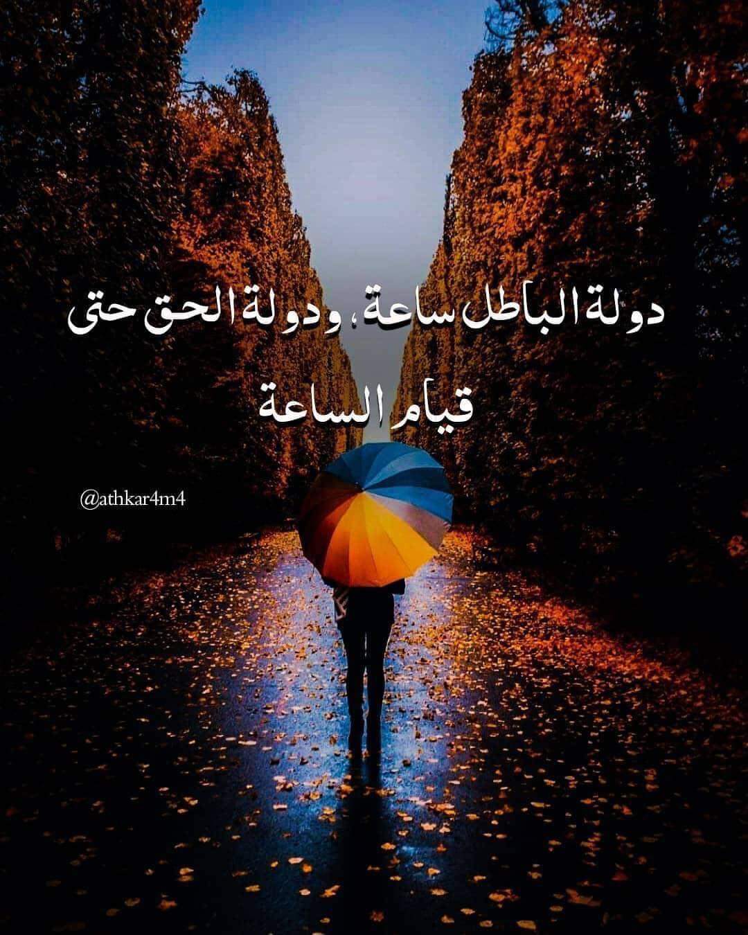 ���� ���� ������ �� ���� ������