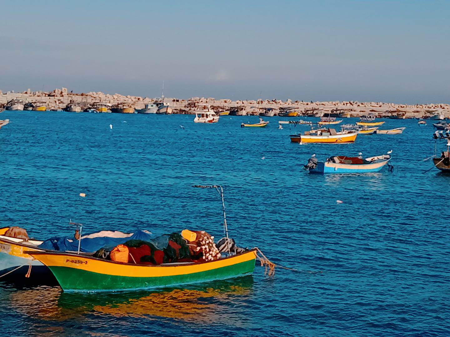 نقره لعرض الصورة في صفحة مستقلة