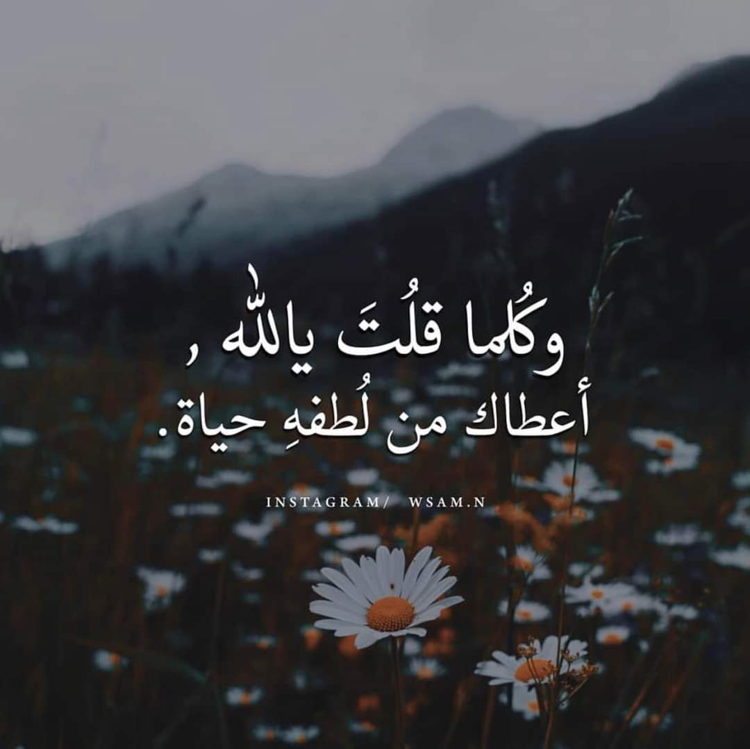 ���� ���� ������ �� ���� ������