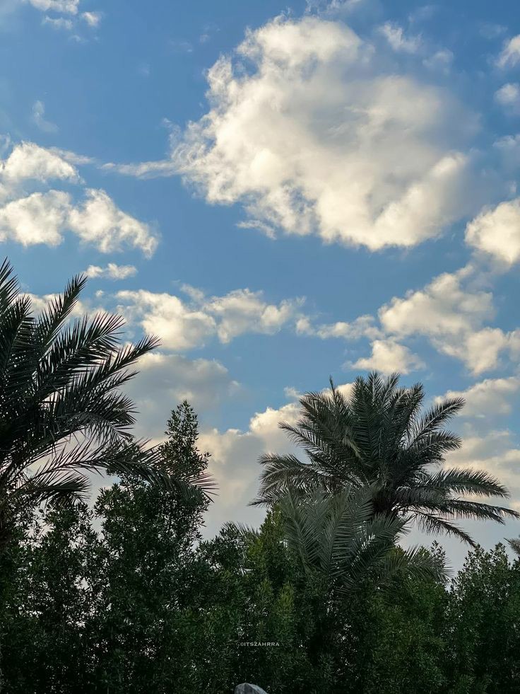 ���� ���� ������ �� ���� ������