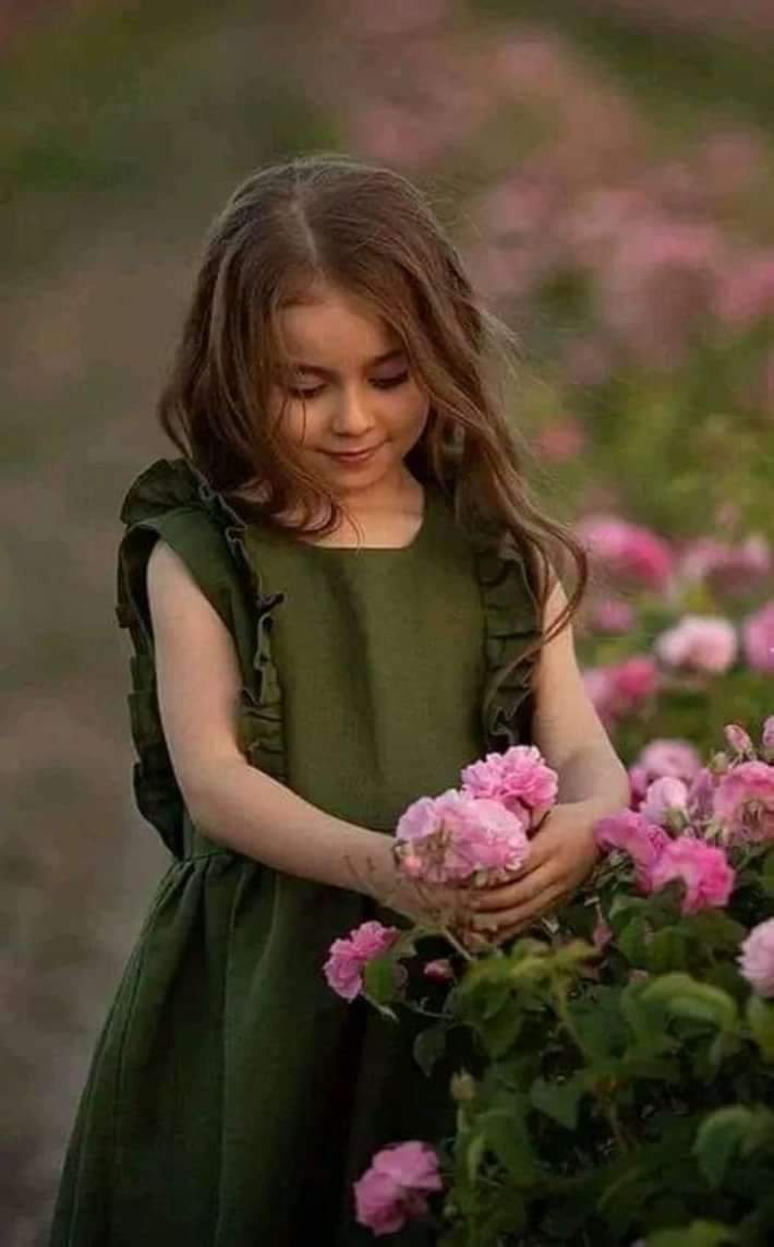 ���� ���� ������ �� ���� ������