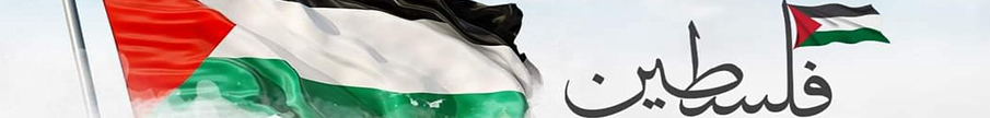فلسطين عربية‎