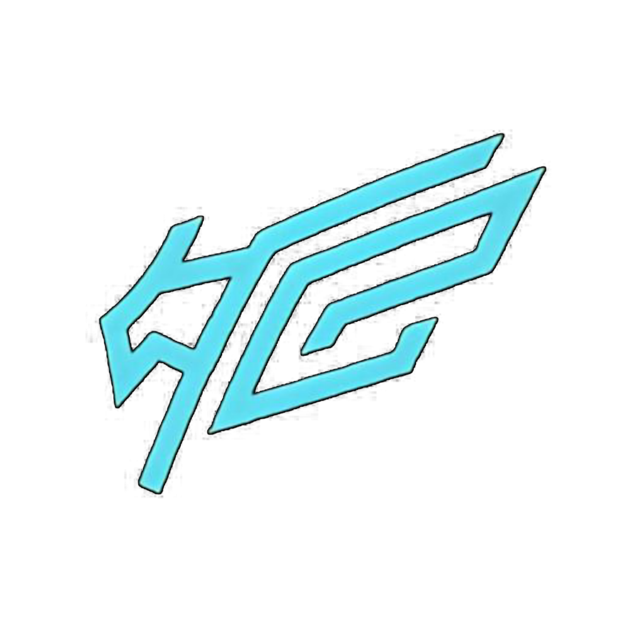 IZS Group Logo