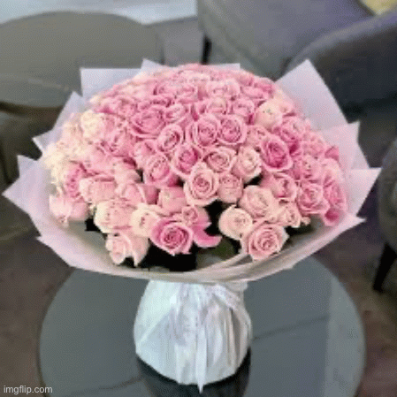 p_3426606cf0.gif