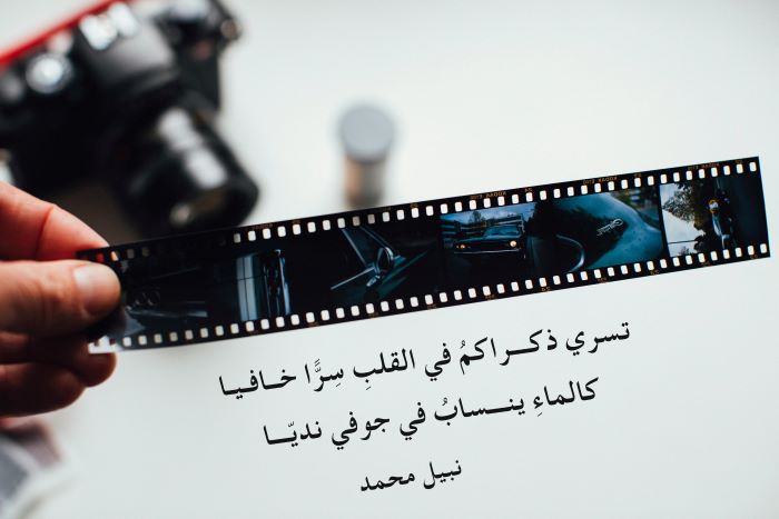 ����� �������