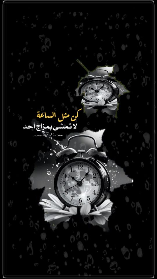 ������ ������ ����� p_358888vkf0.jpg