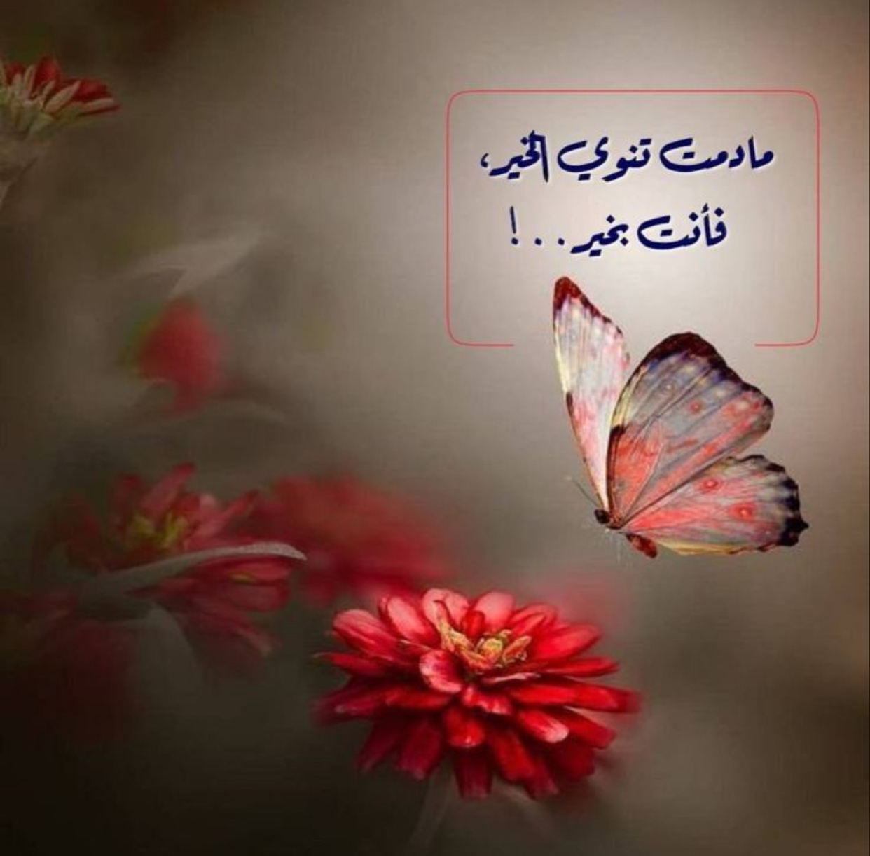 ������ ���� ������ �� ���� ������