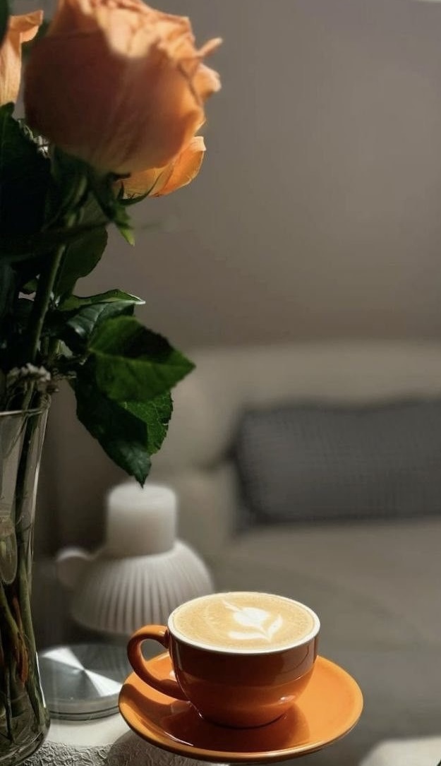 ������ ���� ������ �� ���� ������