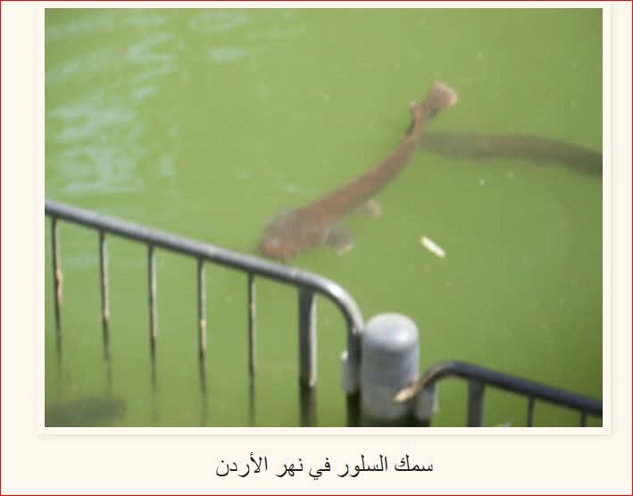 ��� ������ ������� �� ��� ������ 