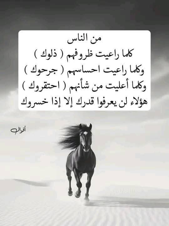 �� ����� 