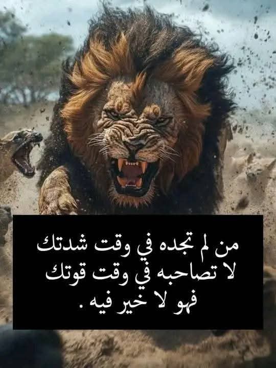 �� �� ���� �� ��� ���� 