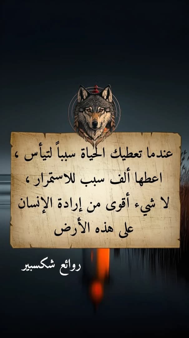 ������ ����� ������ ���� ����� 