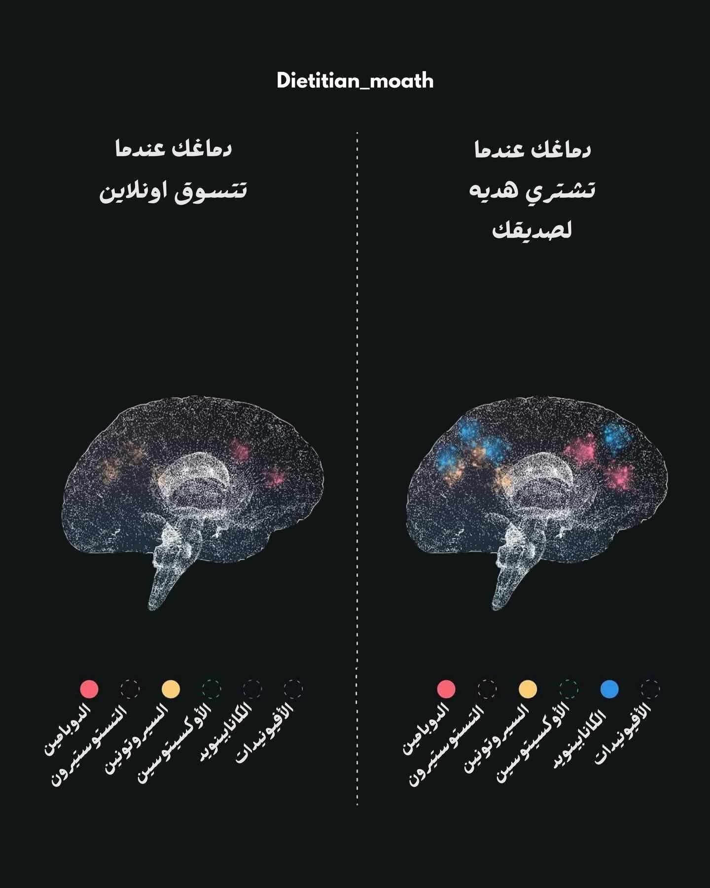 ���� �� ����� ������� 