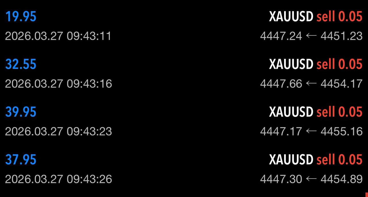 إثبات أرباح ياسر